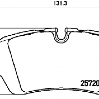 LR036574